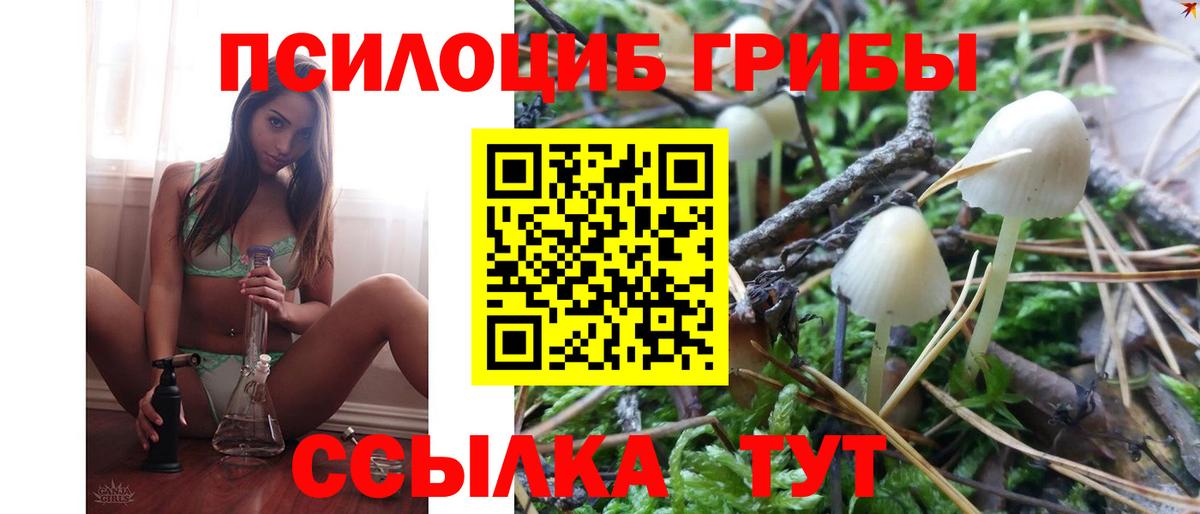 Галлюциногенные грибы мицелий Минеральные Воды